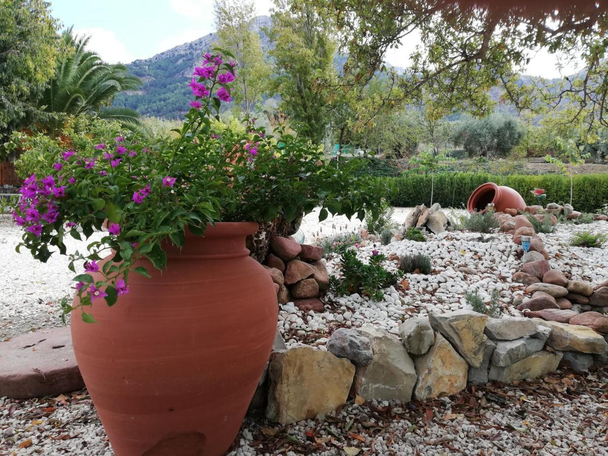 Alojamiento Rural Casa Fuente Del Prado La Iruela Ngoại thất bức ảnh